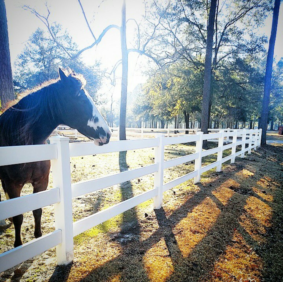 Mr. Fence It, Inc. — Myrtle Beach
