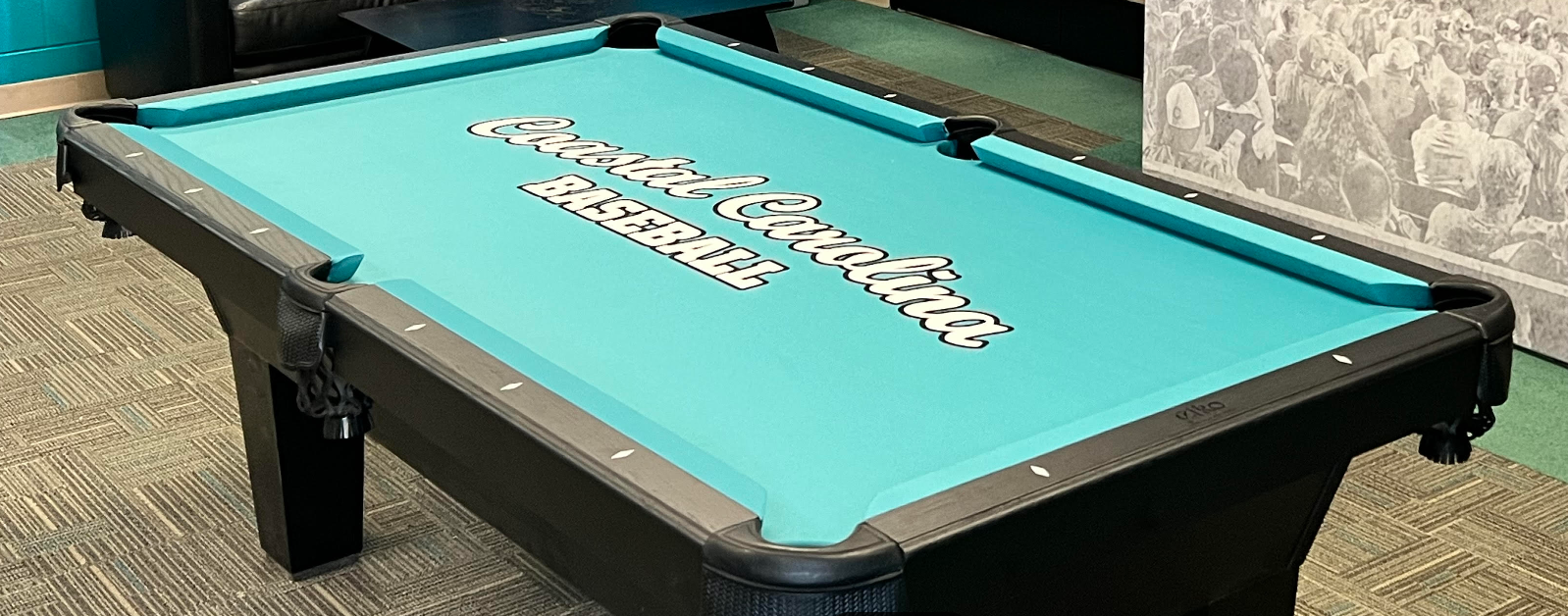 Elko Spas, Billiards & Pools — Myrtle Beach